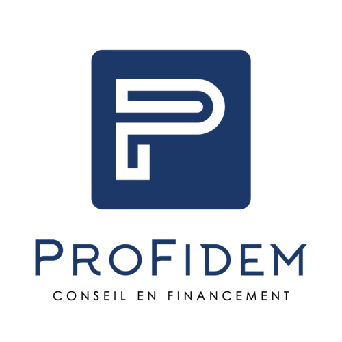 Logo-Profidem